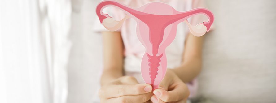 endometrium a plodnosc kluczowa rola blony sluzowej macicy w zdrowiu reprodukcyjnym