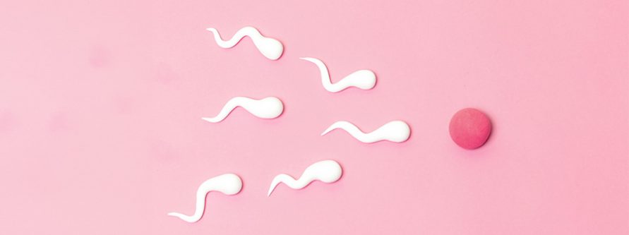 wazektomia praktyczny przewodnik po meskiej antykoncepcji