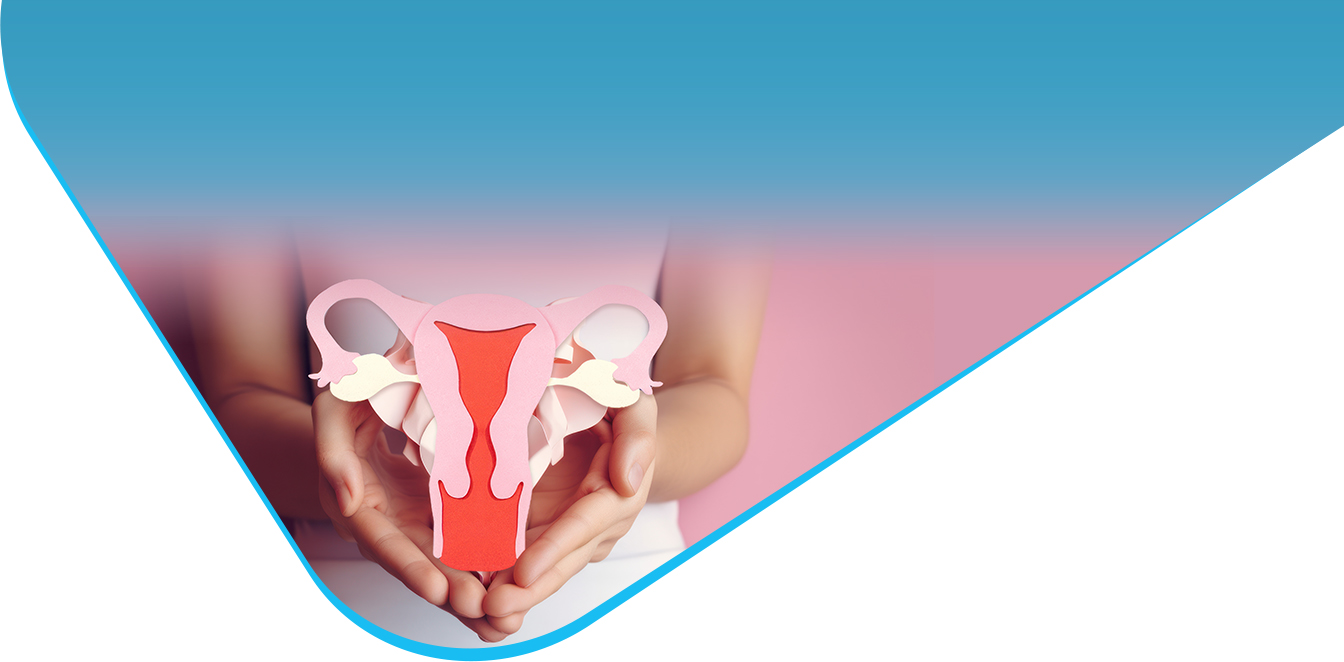 zabiegi raka endometrium ze wsparciem robota chirurgicznego w wojewodztwie warminsko mazurskim