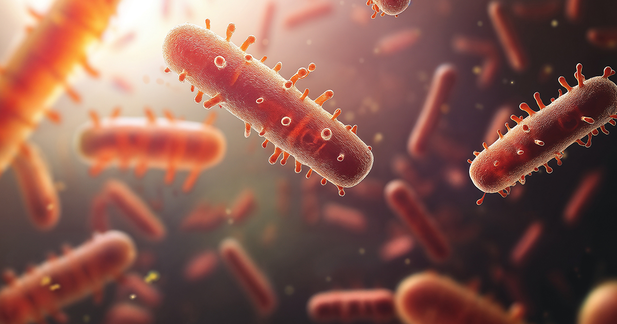 Zakażenie Clostridioides difficile. Jaką dietę stosować i co można jeść?